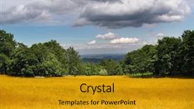  Presentation with corn field - Presentation theme having corn field under heavy clouds background and a gold colored foreground