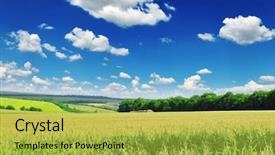  Presentation with corn field - Presentation design having corn field background and a yellow colored foreground