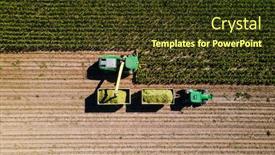  Presentation with corn field - Colorful slides enhanced with corn-harvest-in-the-field backdrop and a tawny brown colored foreground