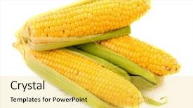  Presentation with corn cob - Audience pleasing PPT layouts consisting of mudslides scar the hillsides backdrop and a dark gray colored foreground