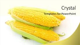  Presentation with corn - Slide deck consisting of corn isolated on white background and a blonde colored foreground