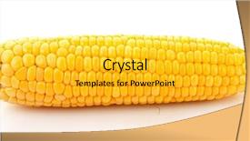  Presentation with corn cartoon - Slide set enhanced with corn isolated on white background and a gold colored foreground
