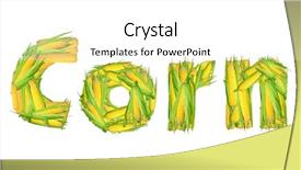  Presentation with corn - PPT layouts enhanced with corn isolated background and a white colored foreground