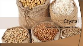  Presentation with kernel corn - Slide deck consisting of corn kernel seed meal and grains in bags isolated on a white background background and a coral colored foreground