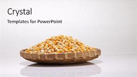  Presentation with maize - Theme featuring corn maize in the bamboo basket background and a sky blue colored foreground