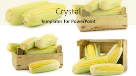  Presentation with corn cob - Theme featuring corn-on-the-cob background and a blonde colored foreground