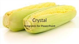  Presentation with corn cob - Colorful presentation design enhanced with corn on the cob backdrop and a yellow colored foreground