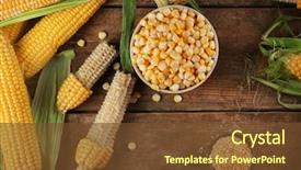  Presentation with seed - Theme enhanced with corn seeds in bowl background and a tawny brown colored foreground