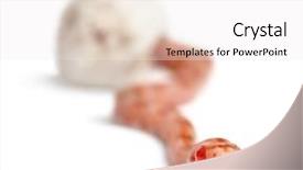  Presentation with white rat - Cool new presentation theme with corn snake hatching pantherophis guttatus guttatus also know as red rat snake against white background backdrop and a white colored foreground