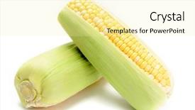  Presentation with corn - Slides featuring corn background and a blonde colored foreground