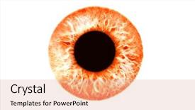  Presentation with red grapefruit orange orange - Slide deck having cornea - closeup of red orange eye background and a lemonade colored foreground