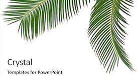  Presentation with date palm - Presentation design featuring corner border of palm leaves background and a white colored foreground