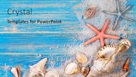  Presentation with corner - Audience pleasing presentation consisting of corner-frame-of-seashells backdrop and a light blue colored foreground