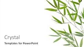  Presentation with corner - 