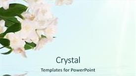 Presentation with pure water - Audience pleasing PPT theme consisting of corner from pure jasmin flowers backdrop and a cool aqua colored foreground