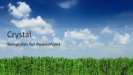  Presentation with clouds - Amazing slides having cornfield with clouds on bright backdrop and a light blue colored foreground