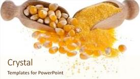  Presentation with maize - Amazing presentation theme having cornmeal maize flour heap in wooden scoop isolated on white background backdrop and a cream colored foreground