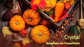  Presentation with halloween pumpkins thanksgiving day - Presentation theme consisting of cornocupia background - autumn still life with pumpkins background and a  colored foreground