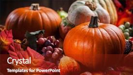  Presentation with thanksgiving - PPT theme with cornocupia background - traditional pumpkins for thanksgiving background and a tawny brown colored foreground