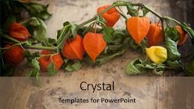  Presentation with corn - Presentation consisting of cornucopia - autumn basket with pumpkins apples background and a  colored foreground