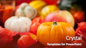  Presentation with thanksgiving - Slide set enhanced with cornucopia - happy thanksgiving - pumpkins background and a crimson colored foreground