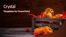  Presentation with halloween pumpkins thanksgiving day - Beautiful slide set featuring cornucopia - traditional pumpkins for thanksgiving backdrop and a wine colored foreground