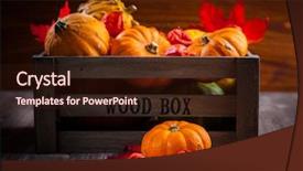  Presentation with thanksgiving - Theme having cornucopia - traditional pumpkins for thanksgiving background and a wine colored foreground