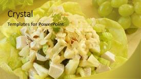  Presentation with chicken little chicks - PPT layouts featuring coronation chicken background and a yellow colored foreground