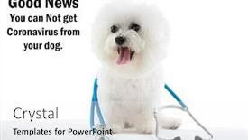  Presentation with today - Colorful PPT theme enhanced with coronavirus-outbreak-covid-19 backdrop and a white colored foreground