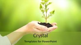  Presentation with responsibility - Colorful PPT theme enhanced with corporate environmental responsibility - green plant in woman hand backdrop and a gold colored foreground