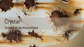  Presentation with container - Cool new slides with flowers of rust on the side of a steel container backdrop and a coral colored foreground