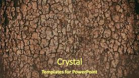  Presentation with brown - PPT theme featuring cortex - brown bark may used background and a tawny brown colored foreground