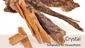  Presentation with cinnamon - Amazing slide set having cortex - cinnamon sticks isolated on white backdrop and a coral colored foreground