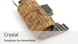  Presentation with traditional chinese medicine - Beautiful presentation design featuring cortex - du zhong eucommia bark traditional backdrop and a light gray colored foreground