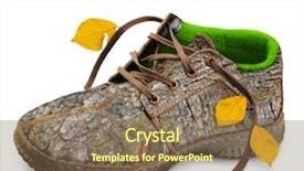  Presentation with eco friendly - PPT layouts having cortex - eco-friendly shoes concept shoes made background and a violet colored foreground