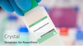  Presentation with bacteria - Slide deck featuring corynebacterium-bacteria-used background and a mint green colored foreground
