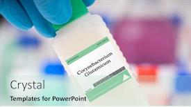  Presentation with flavor - Theme enhanced with corynebacterium-glutamicum-bacteria-used background and a mint green colored foreground