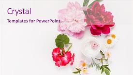  Presentation with cosmetic - Amazing PPT layouts having cosmetic creams with pink flowers backdrop and a sky blue colored foreground