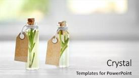  Presentation with essential oil - Amazing slides having cosmetic labels - bottles of rosemary essential oil backdrop and a white colored foreground