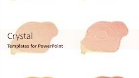  Presentation with foundation - Amazing slide deck having cosmetic liquid foundation samples isolated on white background backdrop and a lemonade colored foreground