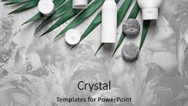  Presentation with green color - Colorful presentation theme enhanced with cosmetic with green leaf on color background backdrop and a light gray colored foreground