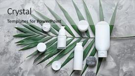  Presentation with green leaf - Audience pleasing slide deck consisting of cosmetic with green leaf backdrop and a light gray colored foreground
