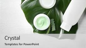  Presentation with green leaf - Colorful PPT layouts enhanced with cosmetics - cosmetic products and green leaf backdrop and a light gray colored foreground