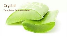  Presentation with aloe vera - Amazing PPT theme having cosmetics ingredients - aloe vera slices backdrop and a cream colored foreground