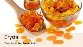  Presentation with herbal cosmetics - Presentation theme enhanced with young handsome man holding a cat isolated on white background and a light gray colored foreground