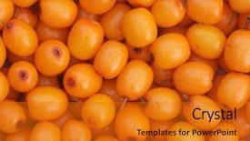  Presentation with berries - Amazing theme having cosmetics ingredients - sea buckthorn berries backdrop and a  colored foreground