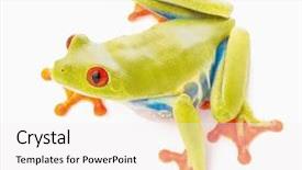  Presentation with costa rica - Audience pleasing presentation theme consisting of costa rica and panama amphibian backdrop and a white colored foreground