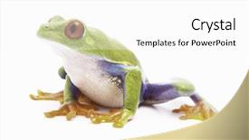  Presentation with costa rica - Presentation design featuring costa rica panama and nicaragua background and a  colored foreground