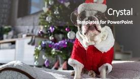  Presentation with christmas tree - Amazing presentation theme having costume sitting under the christmas backdrop and a dark gray colored foreground