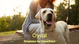  Presentation with dog park - Audience pleasing slide set consisting of costume walking with pretty dog backdrop and a tawny brown colored foreground